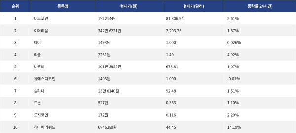 ▲자료제공=MetaVX