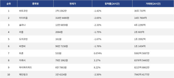 ▲자료제공=MetaVX