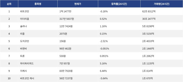▲자료제공=MetaVX