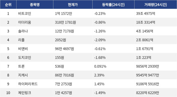 ▲자료제공=MetaVX