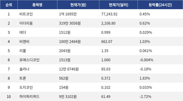 ▲자료제공=MetaVX