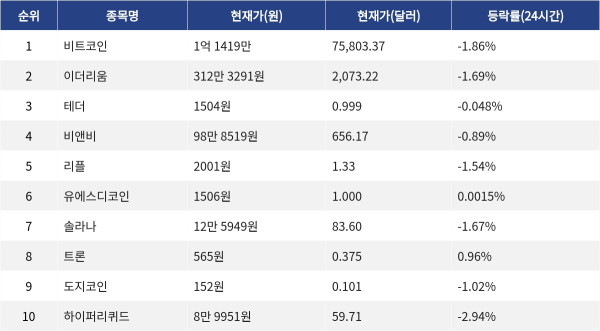 ▲자료제공=MetaVX