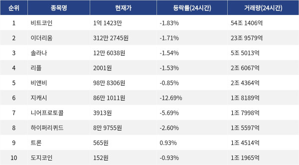▲자료제공=MetaVX