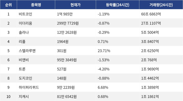 ▲자료제공=MetaVX