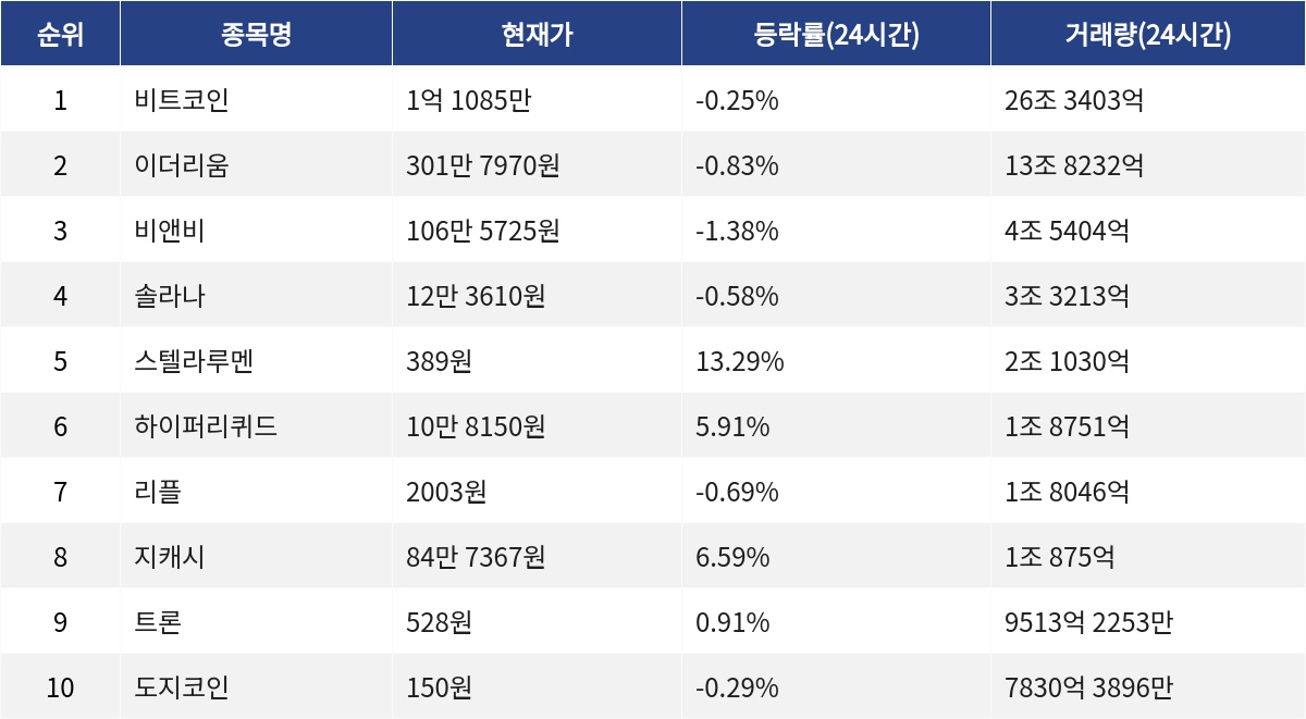 ▲자료제공=MetaVX