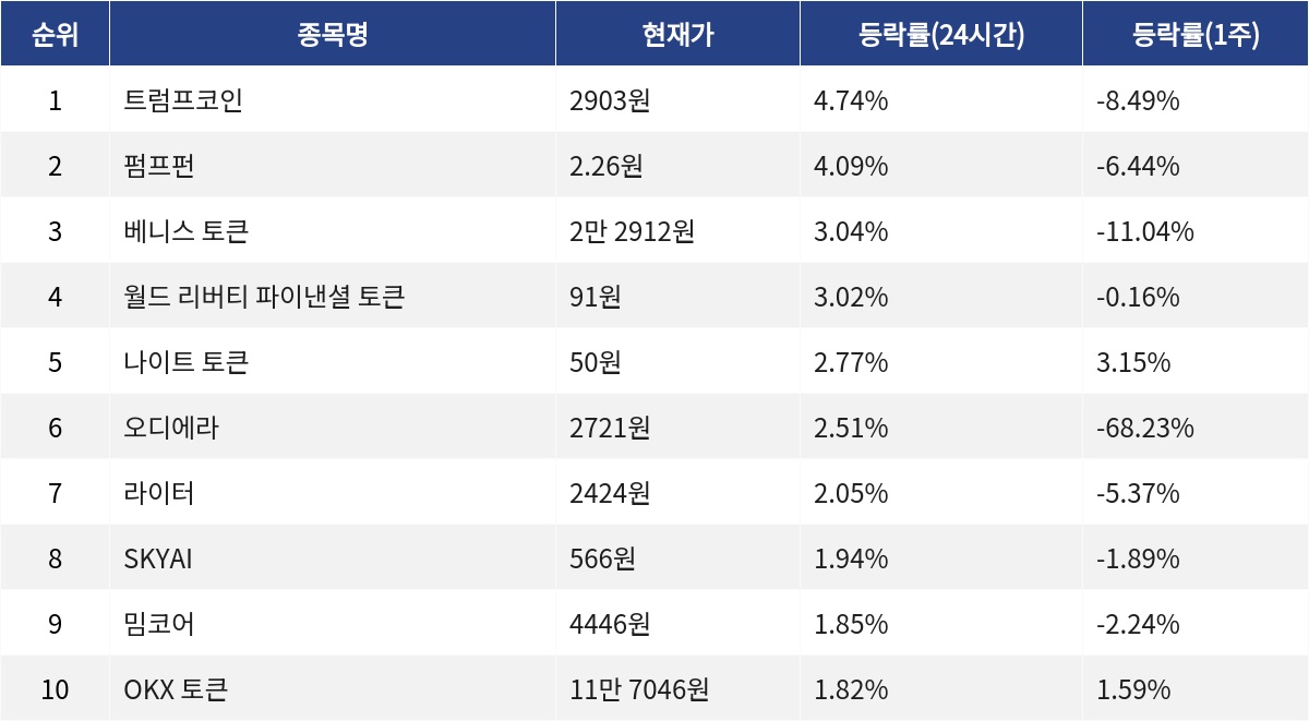 ▲자료제공=MetaVX