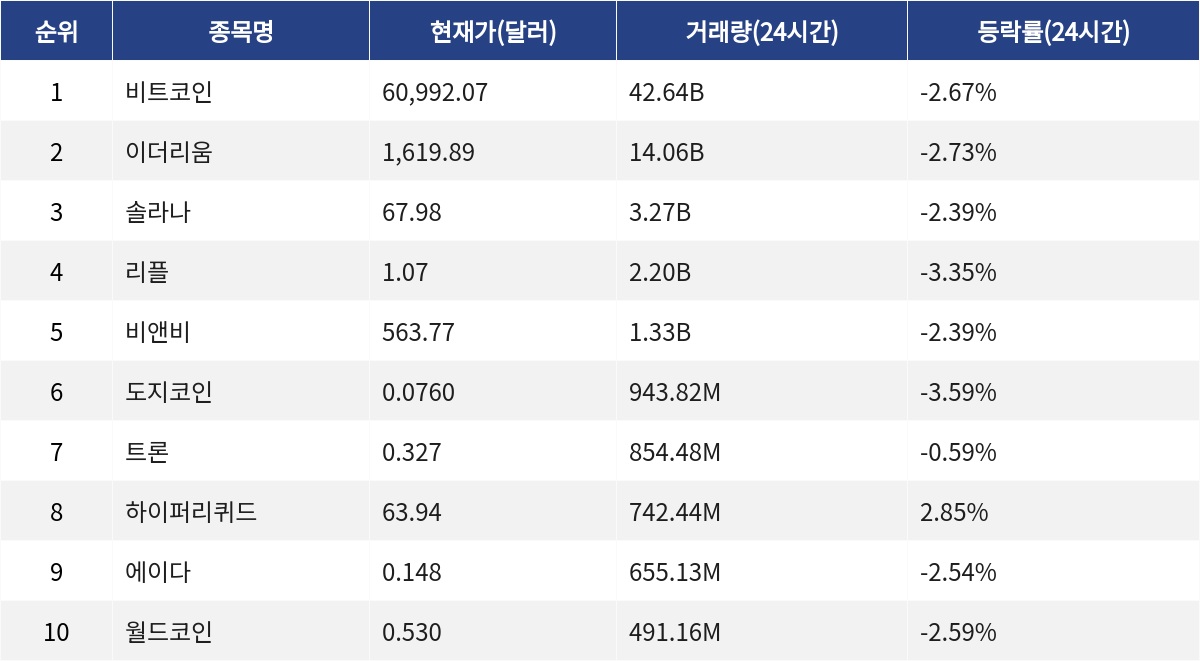 ▲자료제공=MetaVX