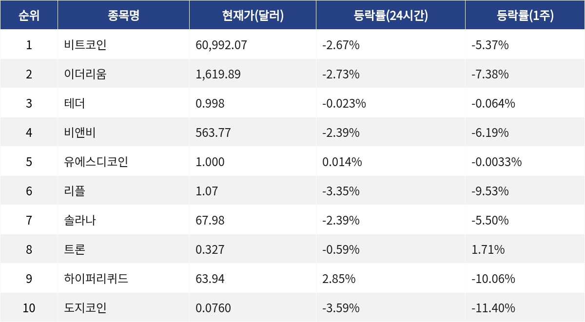 ▲자료제공=MetaVX