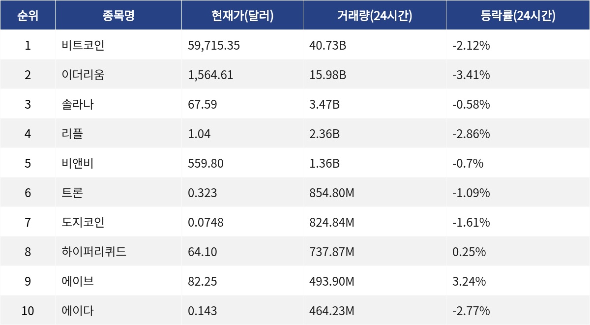 ▲자료제공=MetaVX