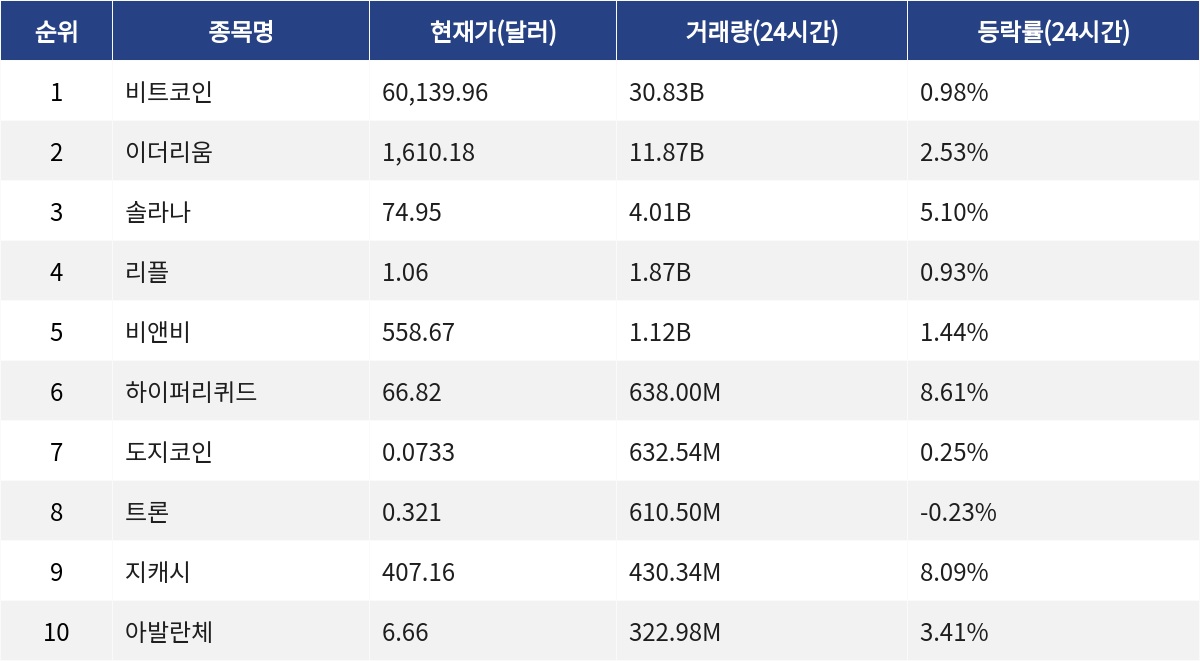 ▲자료제공=MetaVX