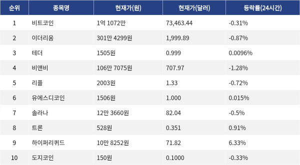 ▲자료제공=MetaVX