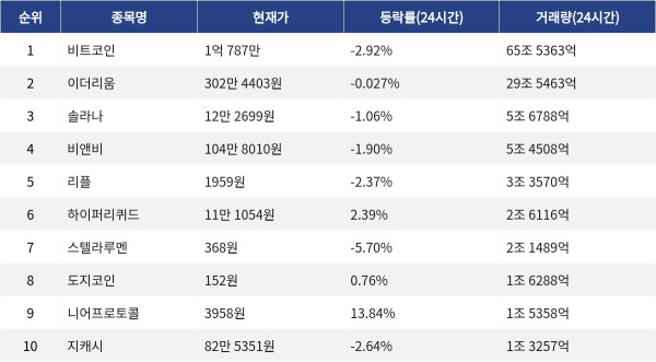 ▲자료제공=MetaVX