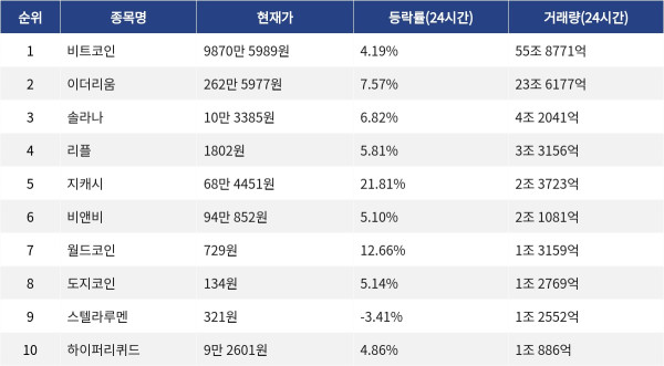 ▲자료제공=MetaVX