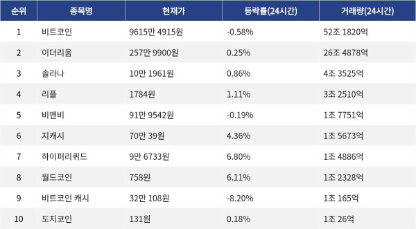 ▲자료제공=MetaVX