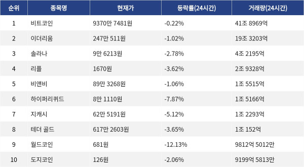 ▲자료제공=MetaVX