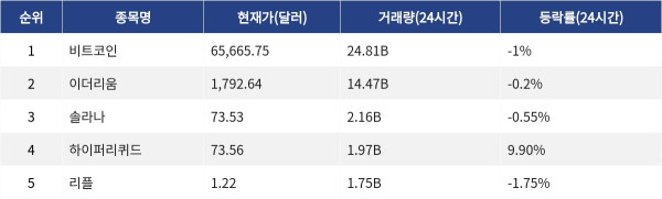 ▲자료제공=MetaVX
