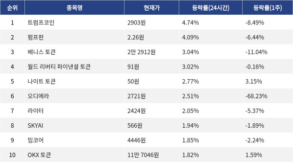 ▲자료제공=MetaVX