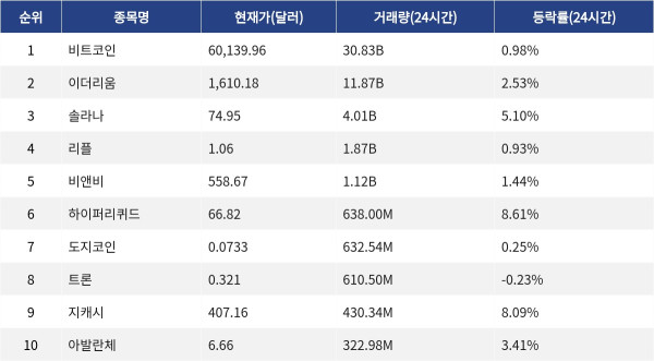 ▲자료제공=MetaVX