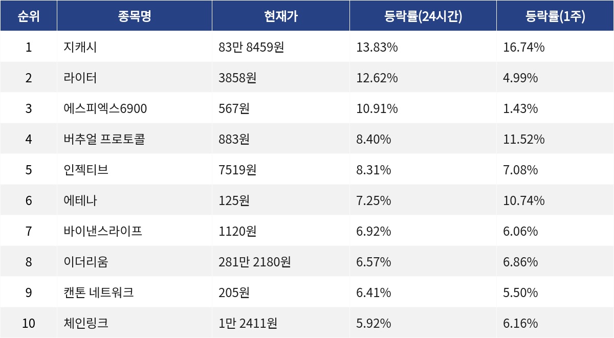 ▲자료제공=MetaVX