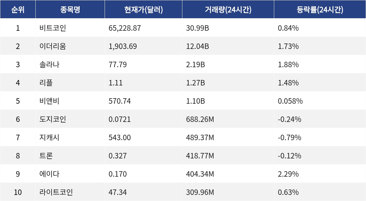 ▲자료제공=MetaVX