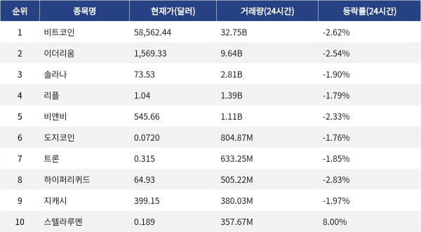 ▲자료제공=MetaVX