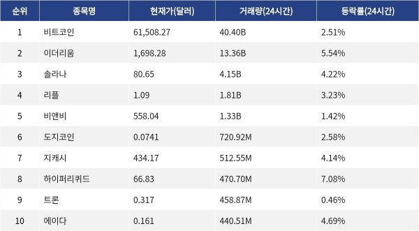 ▲자료제공=MetaVX