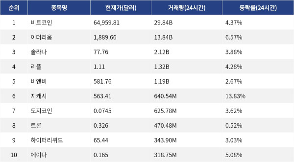 ▲자료제공=MetaVX