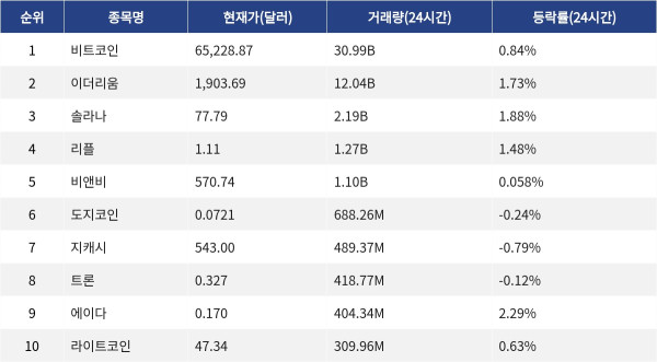▲자료제공=MetaVX