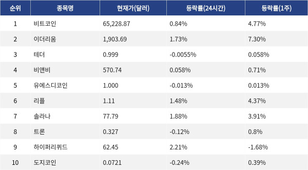 ▲자료제공=MetaVX