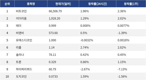 ▲자료제공=MetaVX