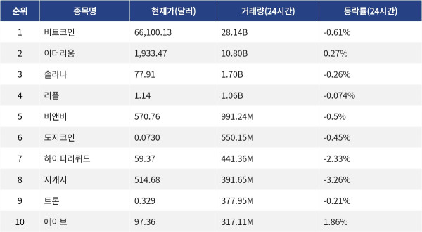 ▲자료제공=MetaVX