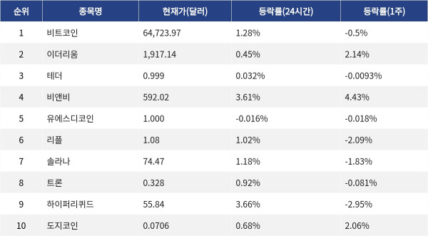 ▲자료제공=MetaVX