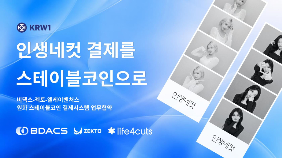 (사진=비댁스)