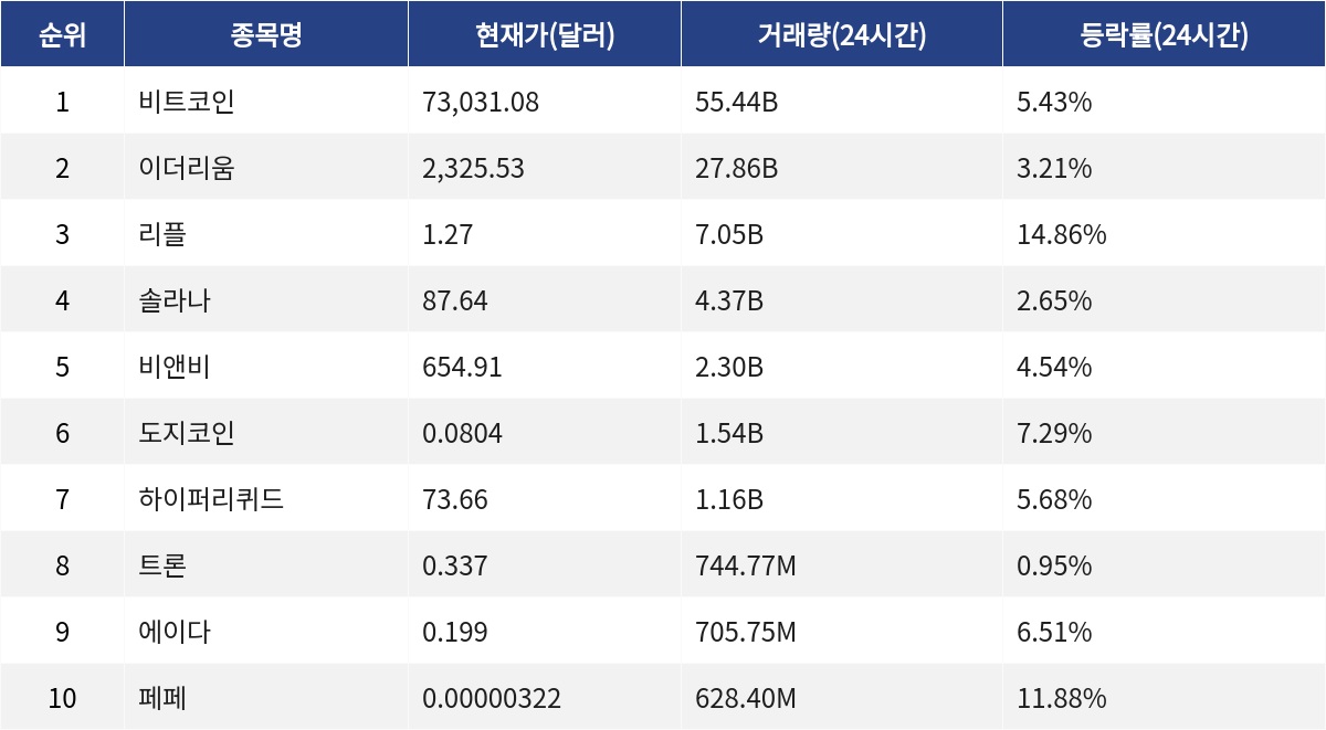 ▲자료제공=MetaVX