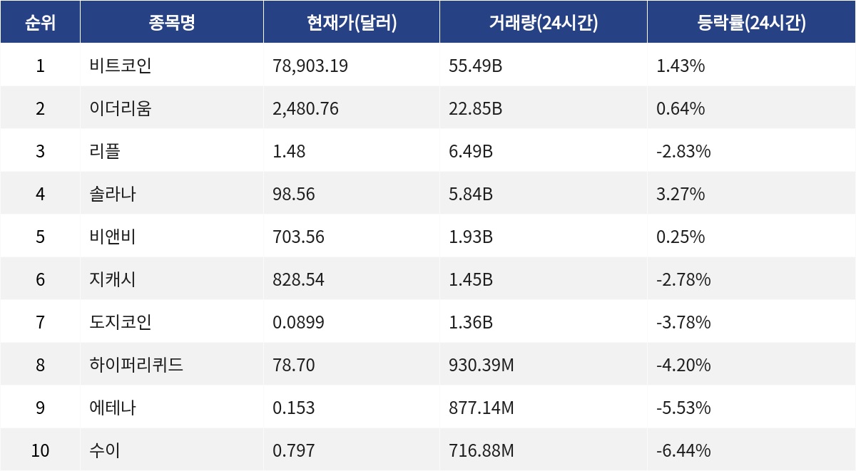 ▲자료제공=MetaVX