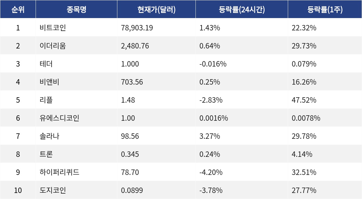 ▲자료제공=MetaVX