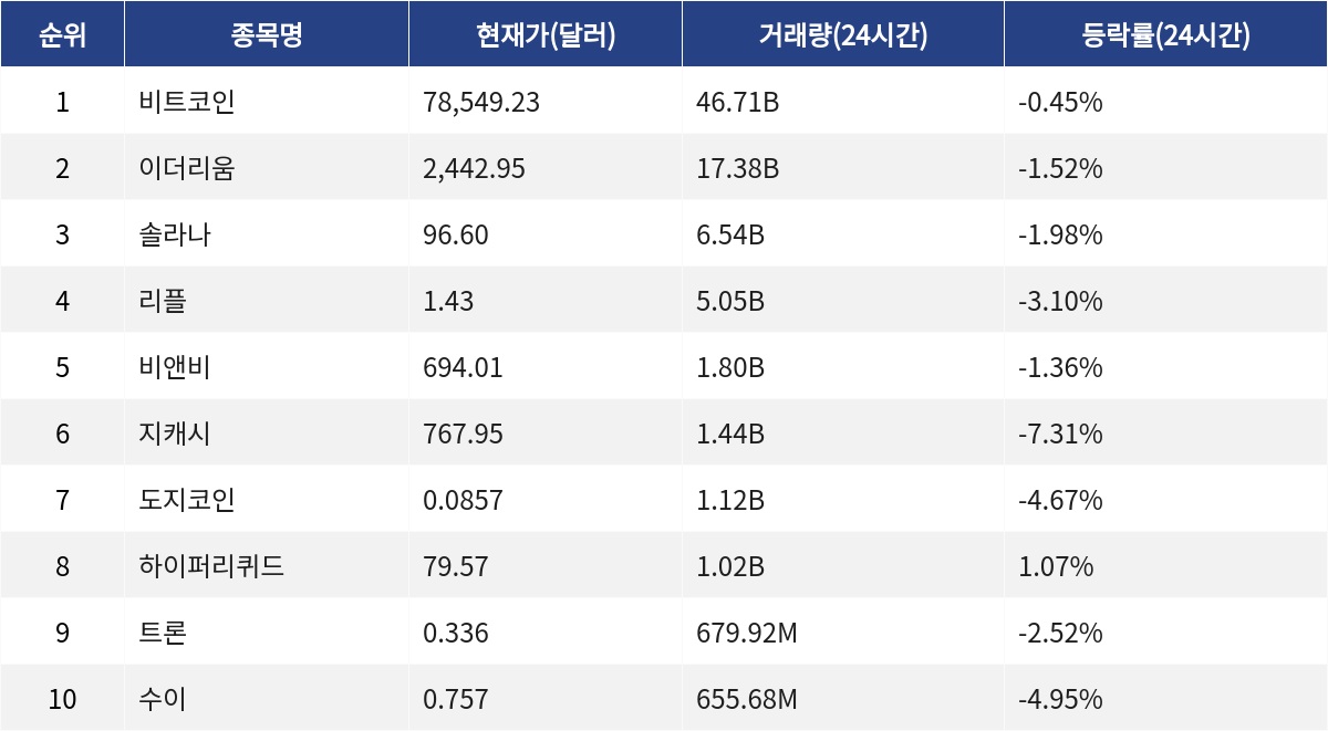 ▲자료제공=MetaVX