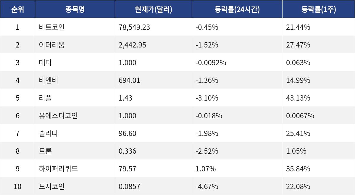 ▲자료제공=MetaVX
