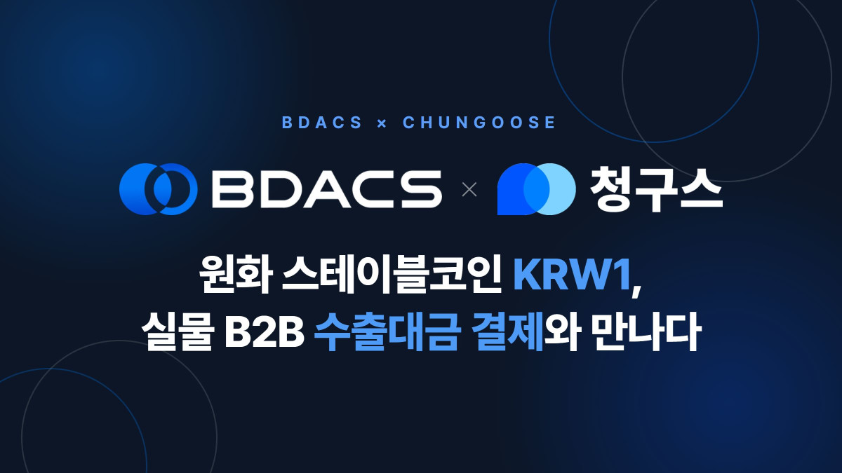 (사진=비댁스)