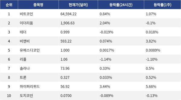 ▲자료제공=MetaVX