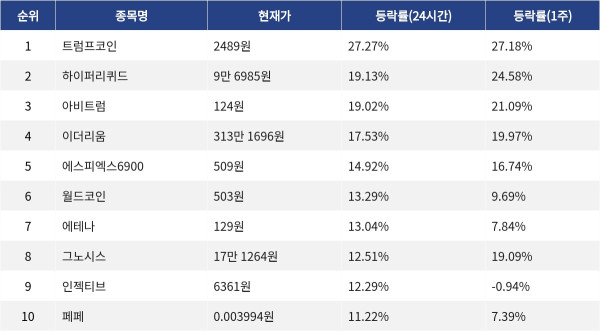 ▲자료제공=MetaVX