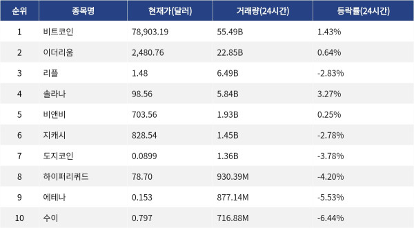 ▲자료제공=MetaVX