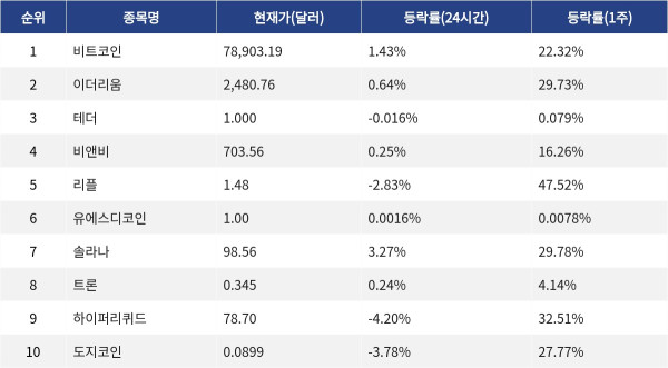 ▲자료제공=MetaVX