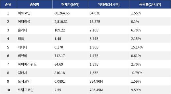 ▲자료제공=MetaVX
