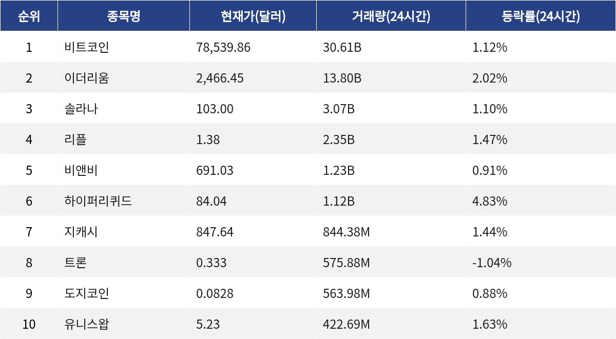 ▲자료제공=MetaVX