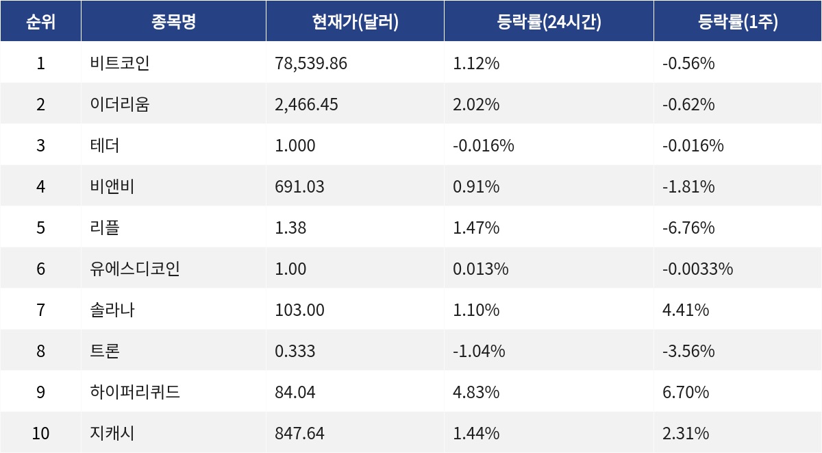 ▲자료제공=MetaVX
