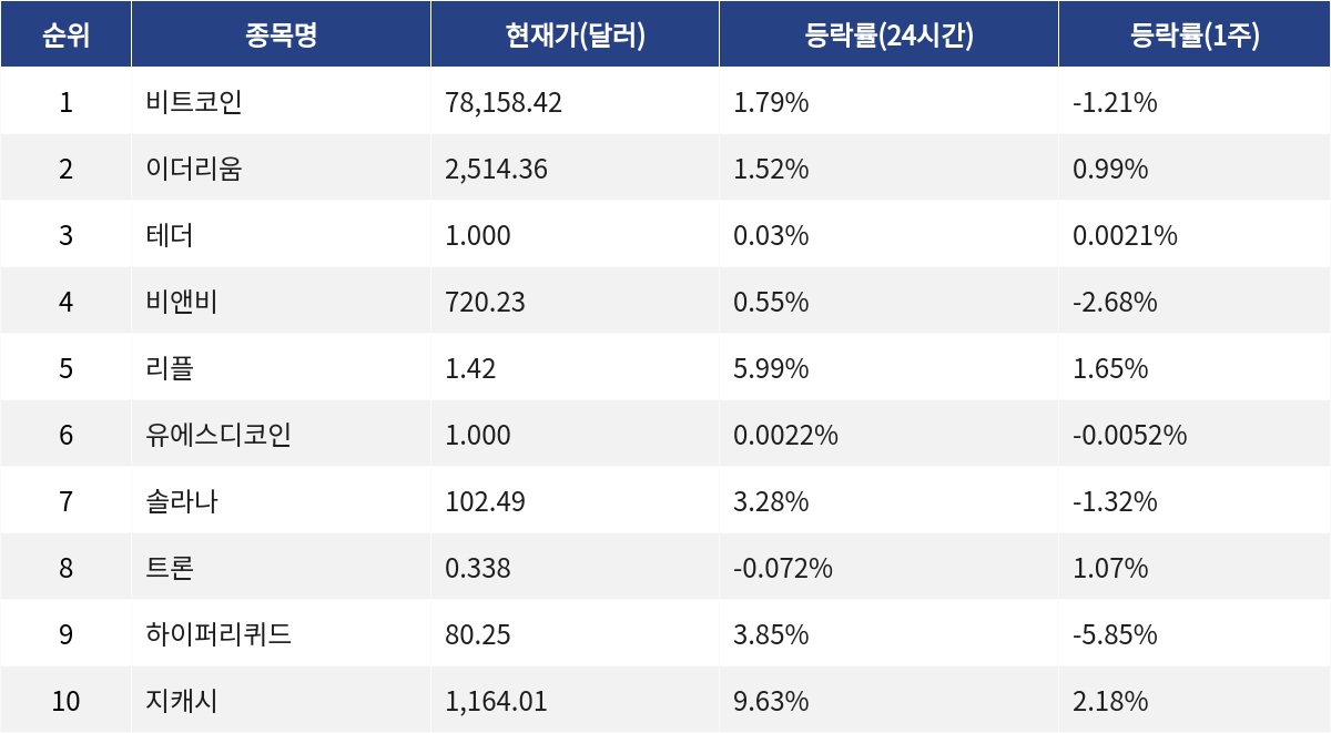 ▲자료제공=MetaVX