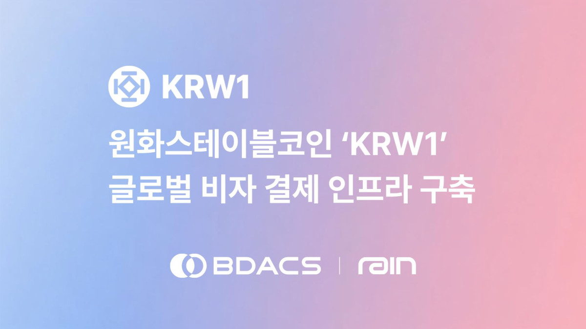 (사진=비댁스)