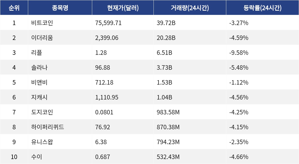 ▲자료제공=MetaVX