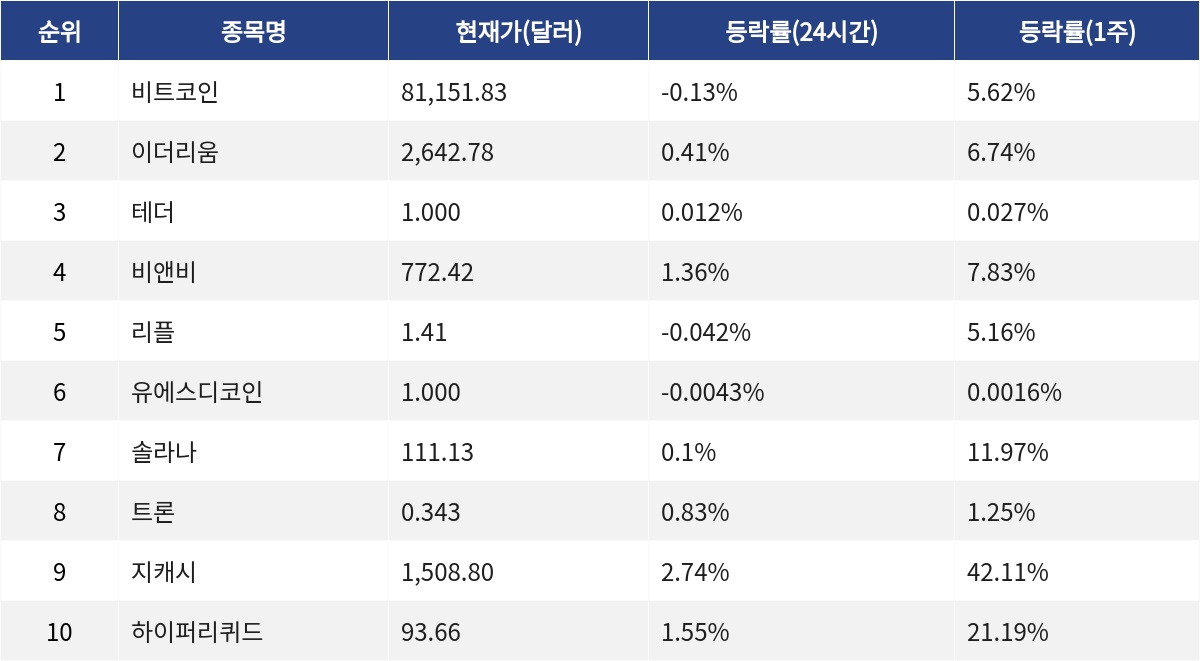 ▲자료제공=MetaVX